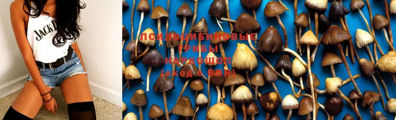 Галлюциногенные грибы MAGIC MUSHROOMS  Качканар 